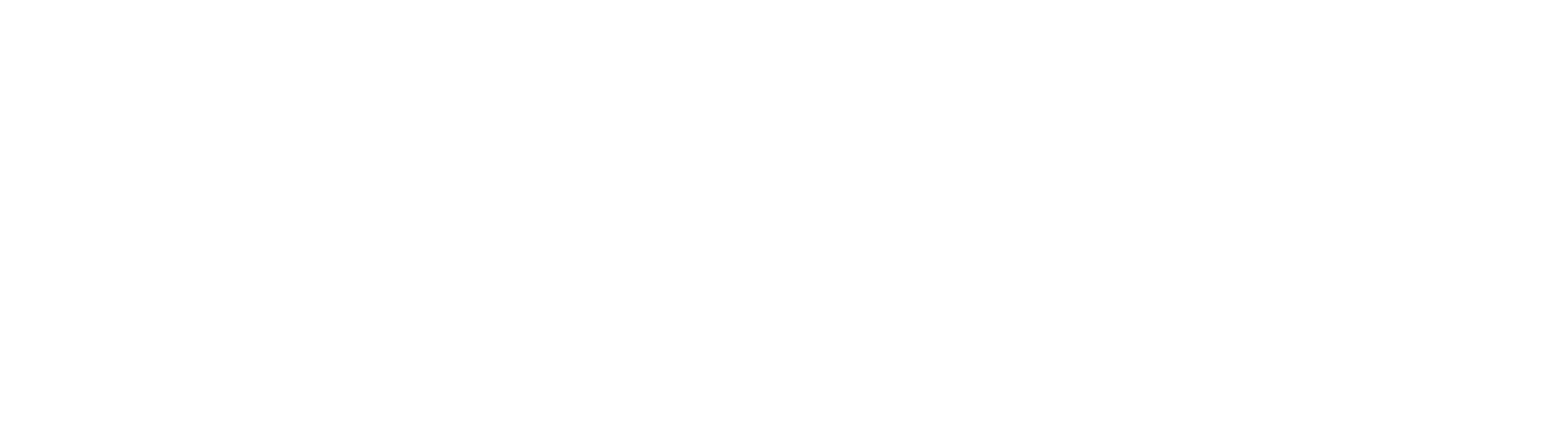 Logo Druk-Store wit