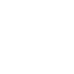 pon logo
